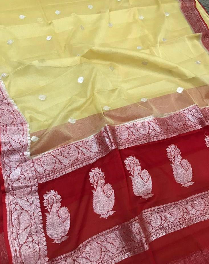 Avni Dual