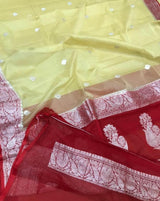 Avni Dual