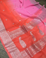 Avni Dual