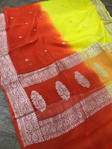 Avni Dual